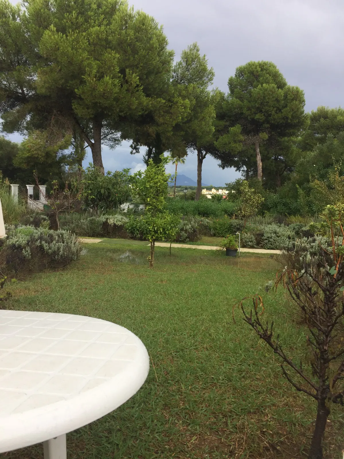 A lush green lawn with trees and shrubs leads to a path and buildings in the distance under a cloudy sky. A white table is in the foreground.