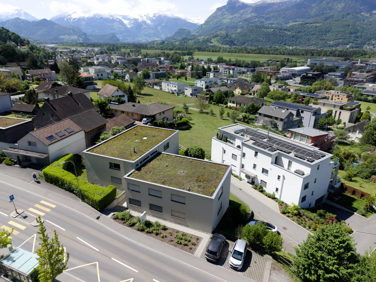 Aerial view of modern homes with green roofs, cars parked, and mountains in the background.