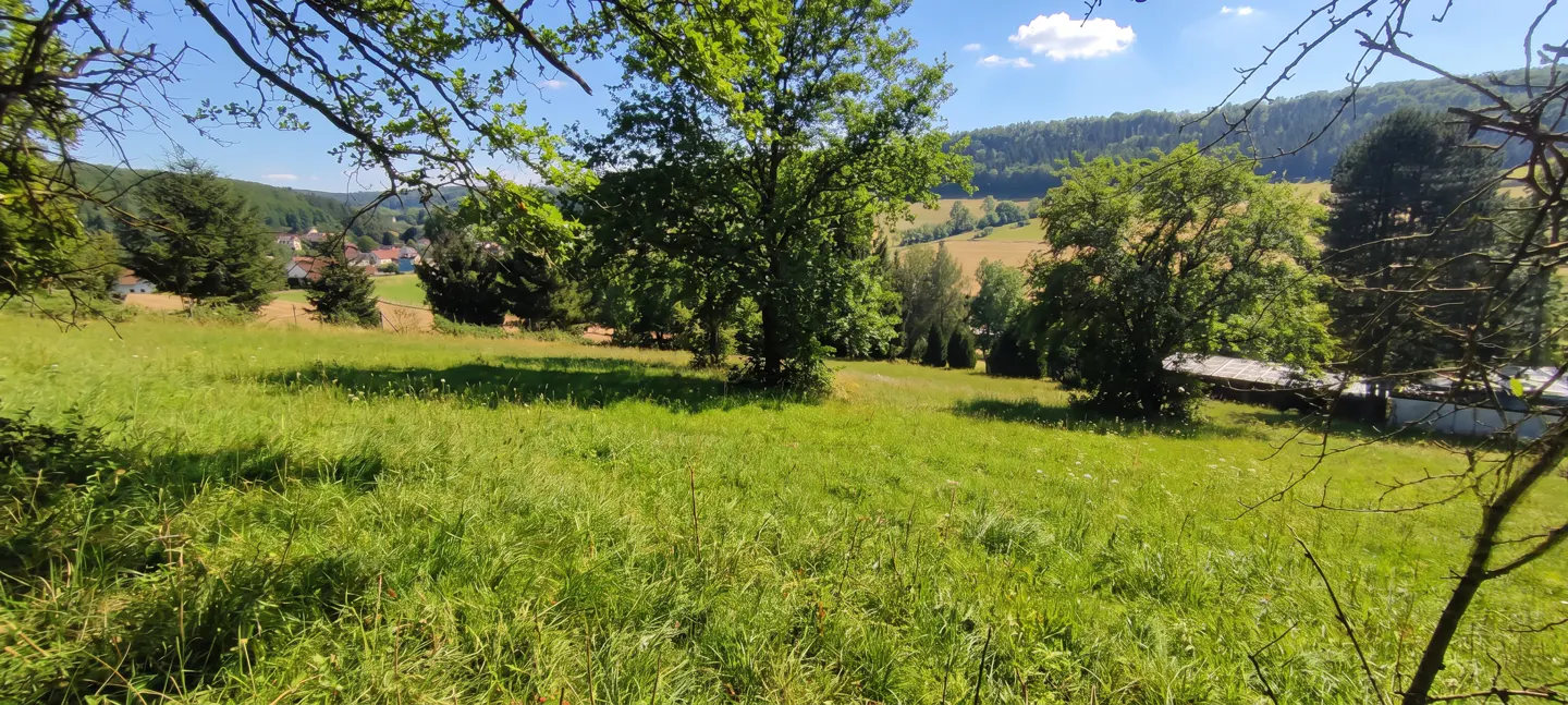 Lush green meadow with tall grass and scattered trees under a bright blue sky. Distant hills and a small village add depth to the landscape.