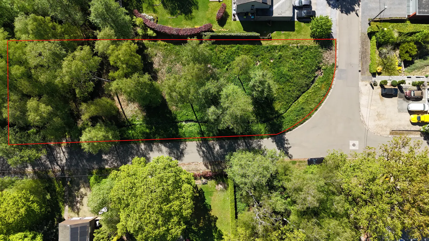Aerial view of a vacant lot outlined in red, featuring trees, grass, and a road.