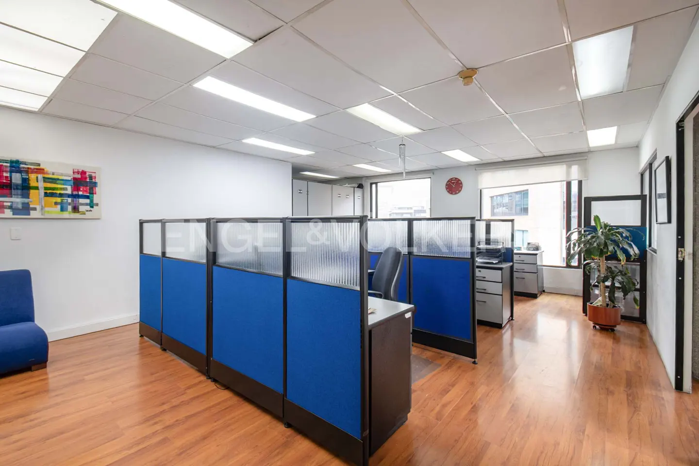 Bright office space with blue cubicles, wood floors, and white walls. Artwork hangs on the wall. Engel & Volkers logo on cubicles.