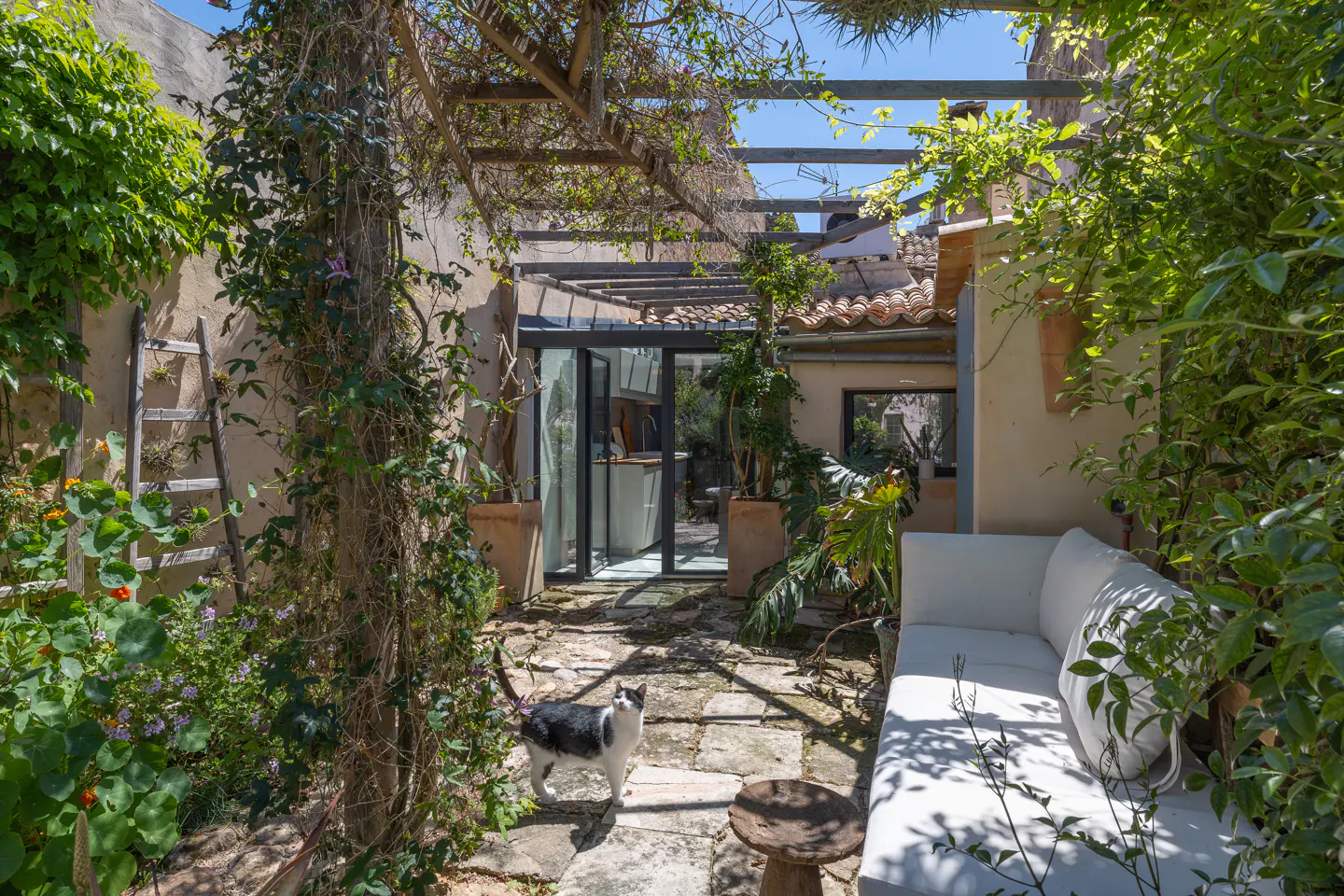 Outdoor patio with stone floor, white sofa, and wooden pergola covered in vines. A black and white cat stands on the stone floor.