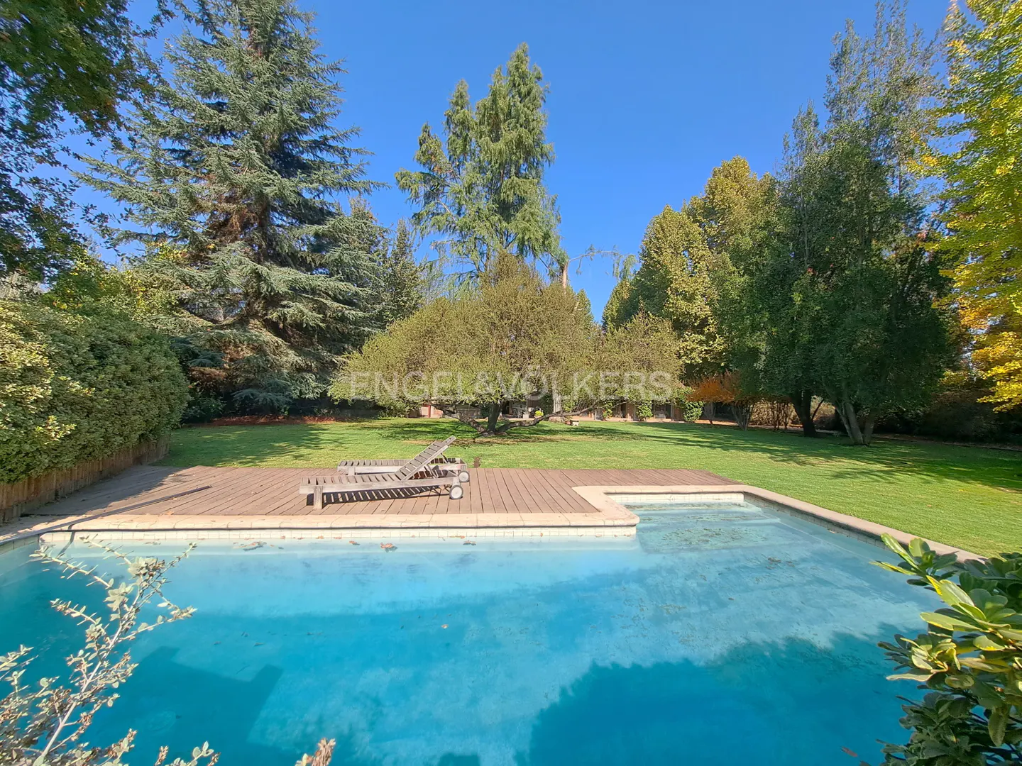 Swimming pool with a wooden deck and two lounge chairs, set in a lush green backyard surrounded by mature trees.