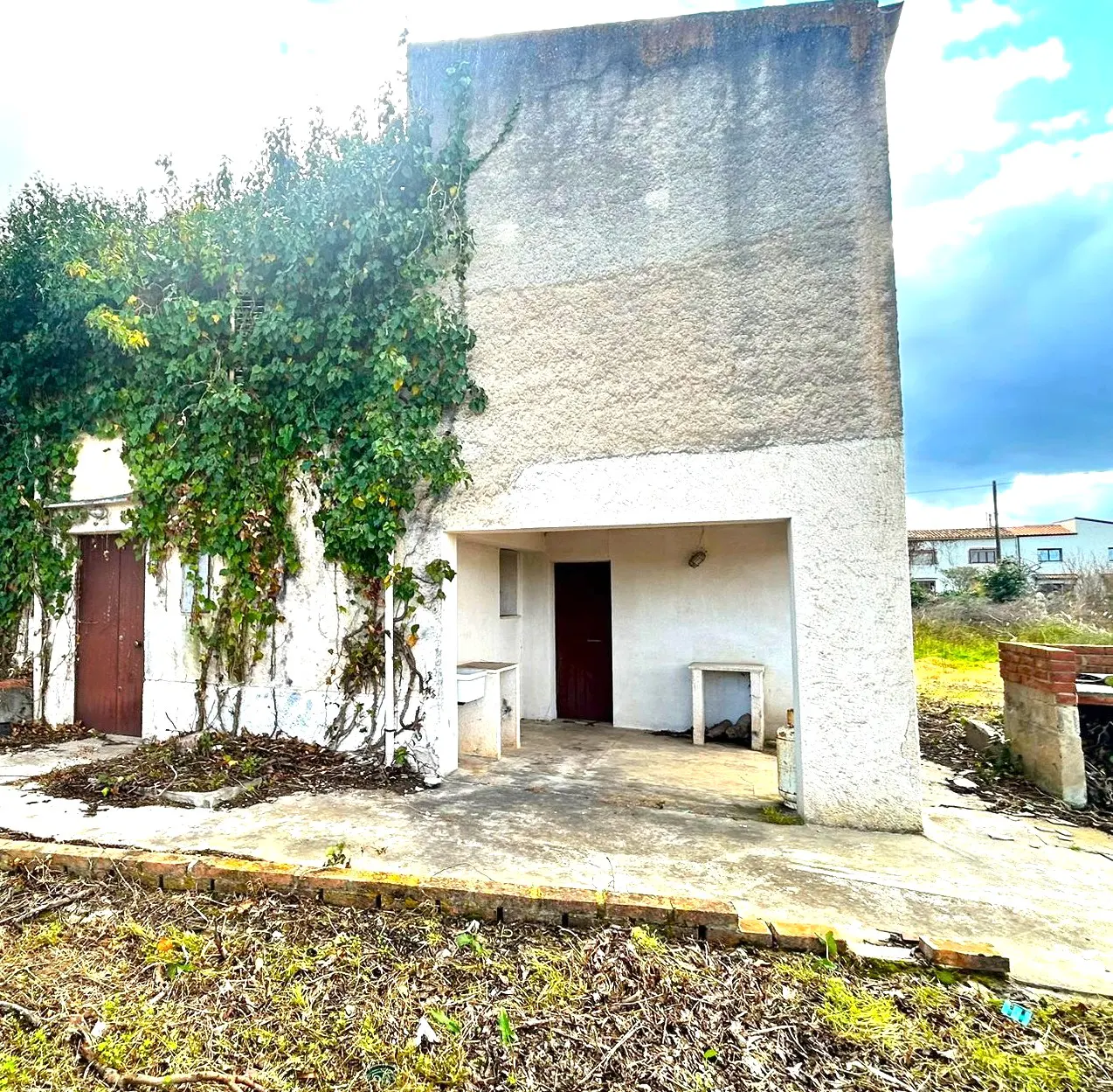 Exterior view of a two-story building with a brown door, climbing vines, and a concrete patio.