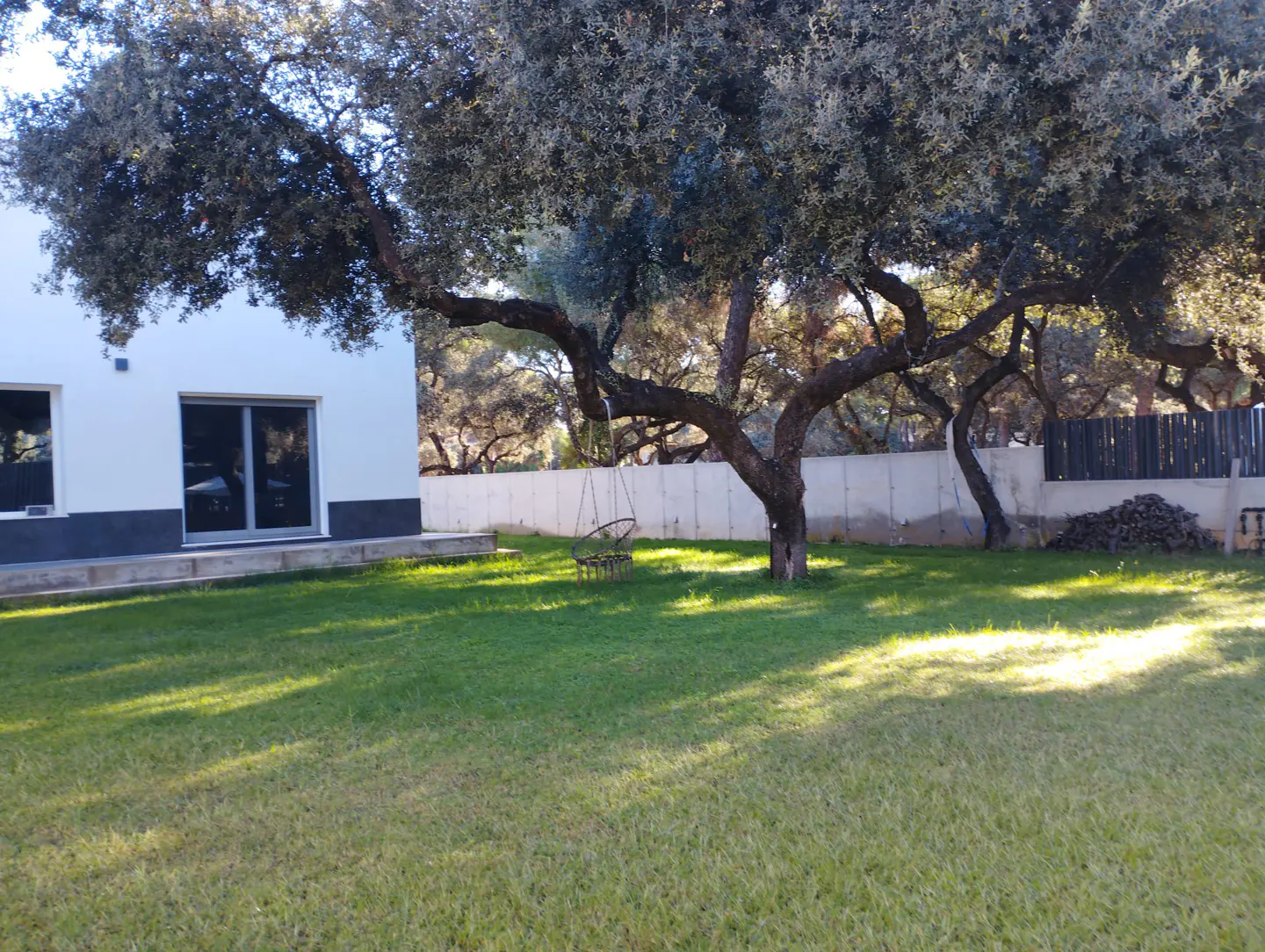 A modern white house with a green lawn and a large tree with a swing hanging from a branch.
