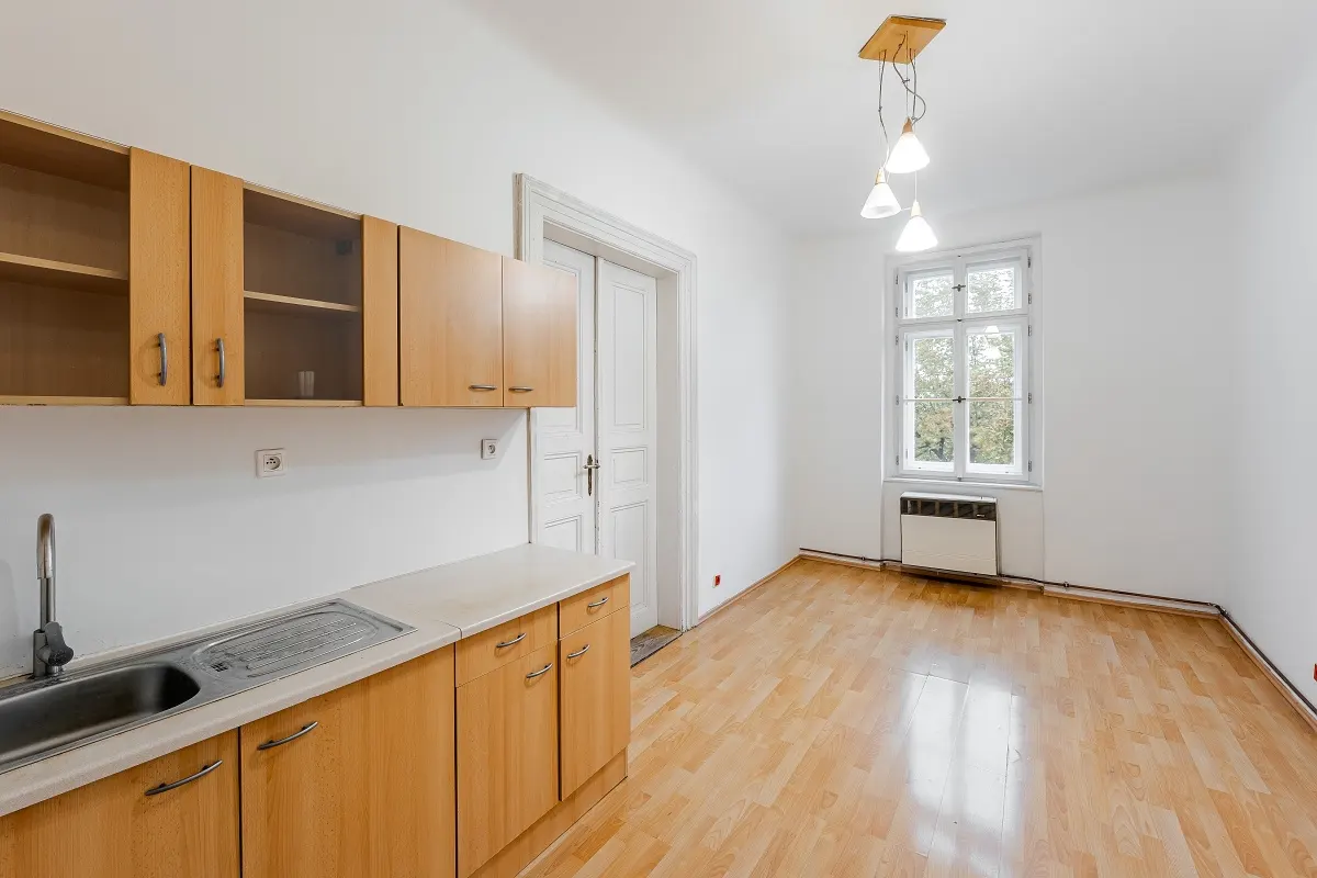 Bright, empty apartment with light wood cabinets, sink, and hardwood floors. A window and white double doors are visible.