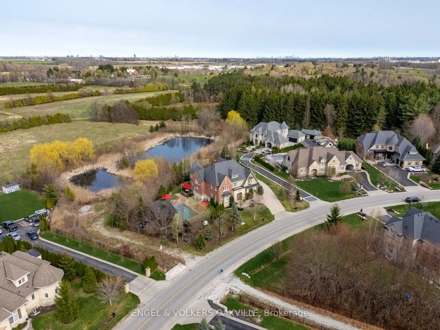 Aerial view of luxury homes in a suburban neighborhood with a pond and green spaces.