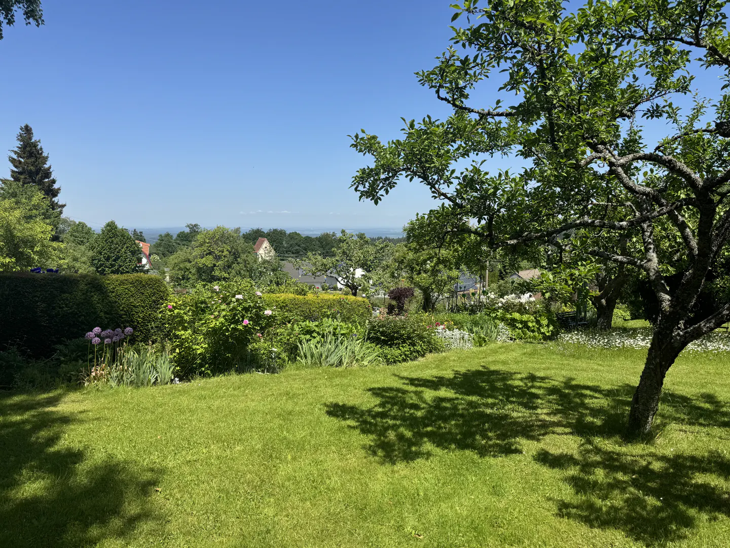 A lush green lawn with a large tree in the foreground, overlooking a scenic valley with trees and houses under a blue sky.