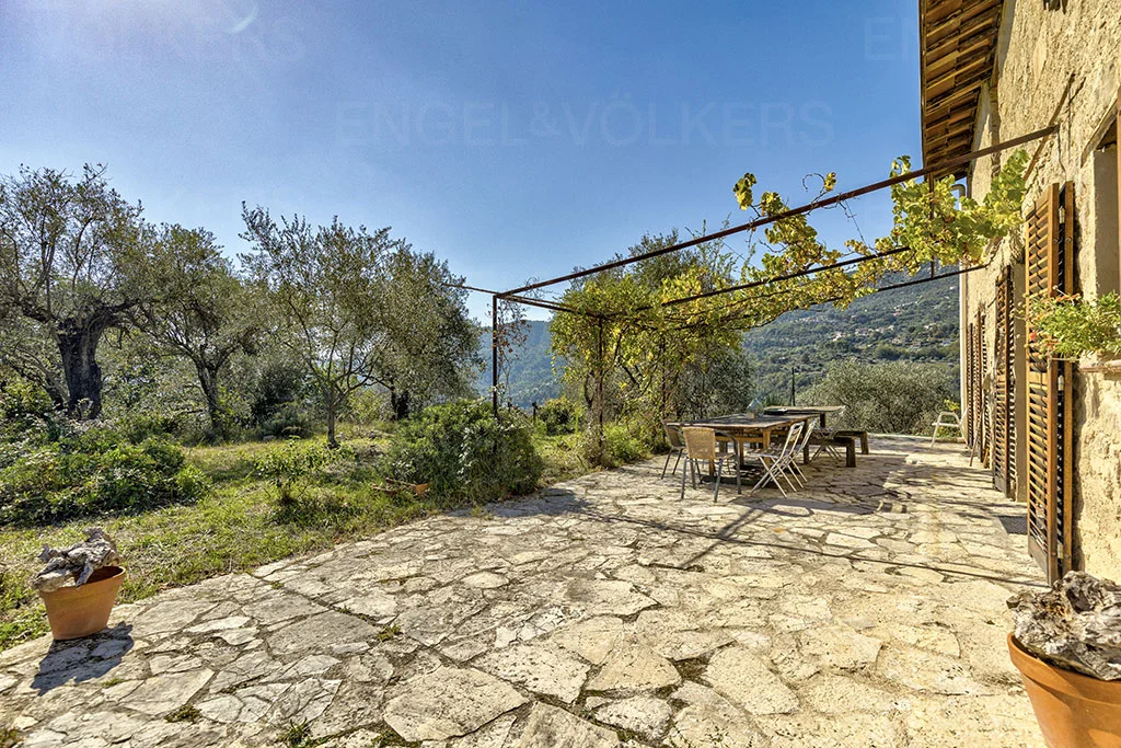 Bâtisse en pierre dans une oliveraie centenaire