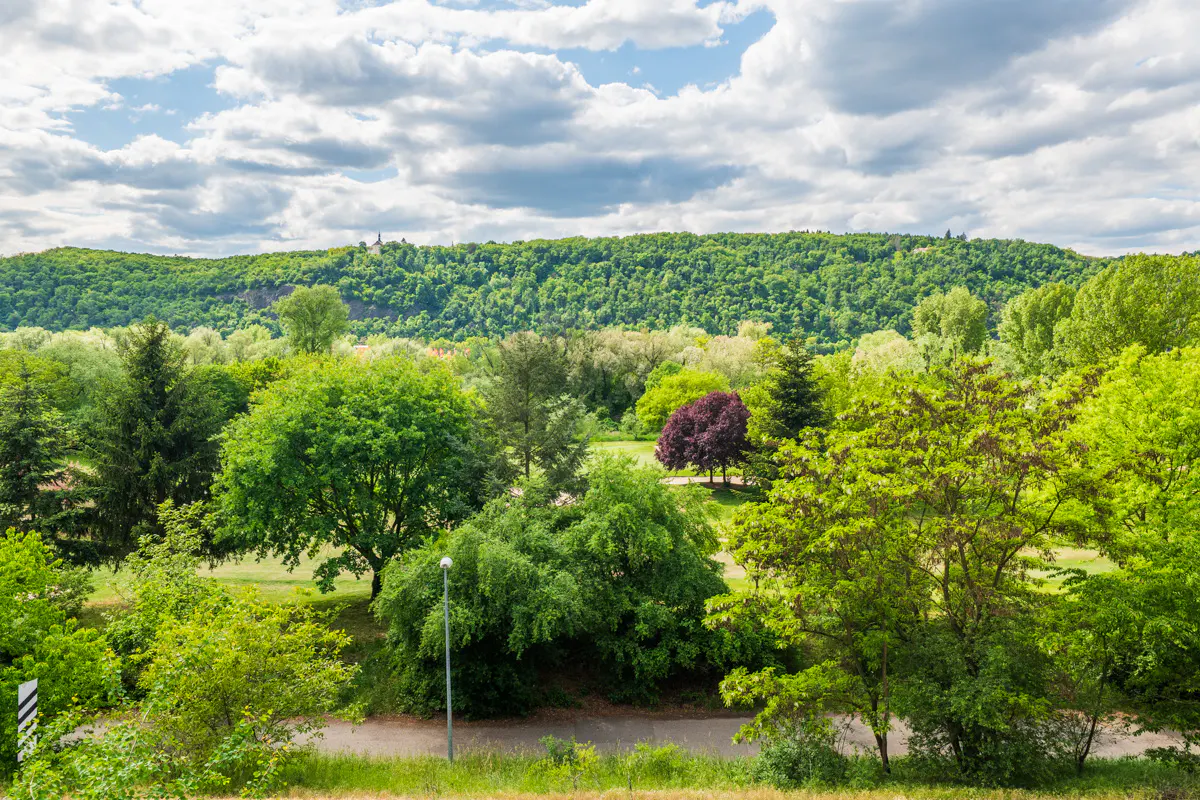 Scenic view of lush green trees and a distant hill under a cloudy sky. A road and a lamppost are visible in the foreground.