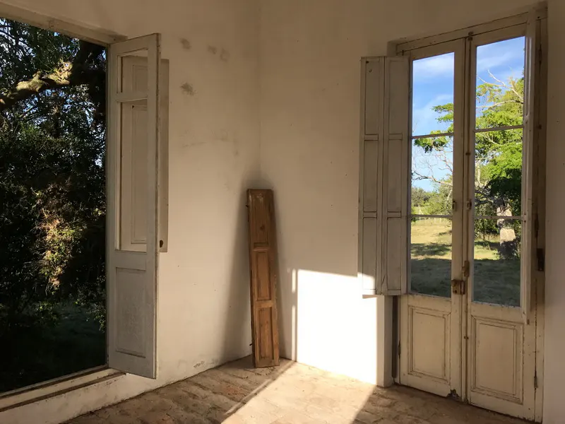 Empty room with white walls, two open white wooden doors, and a wooden panel leaning in the corner, overlooking a garden.