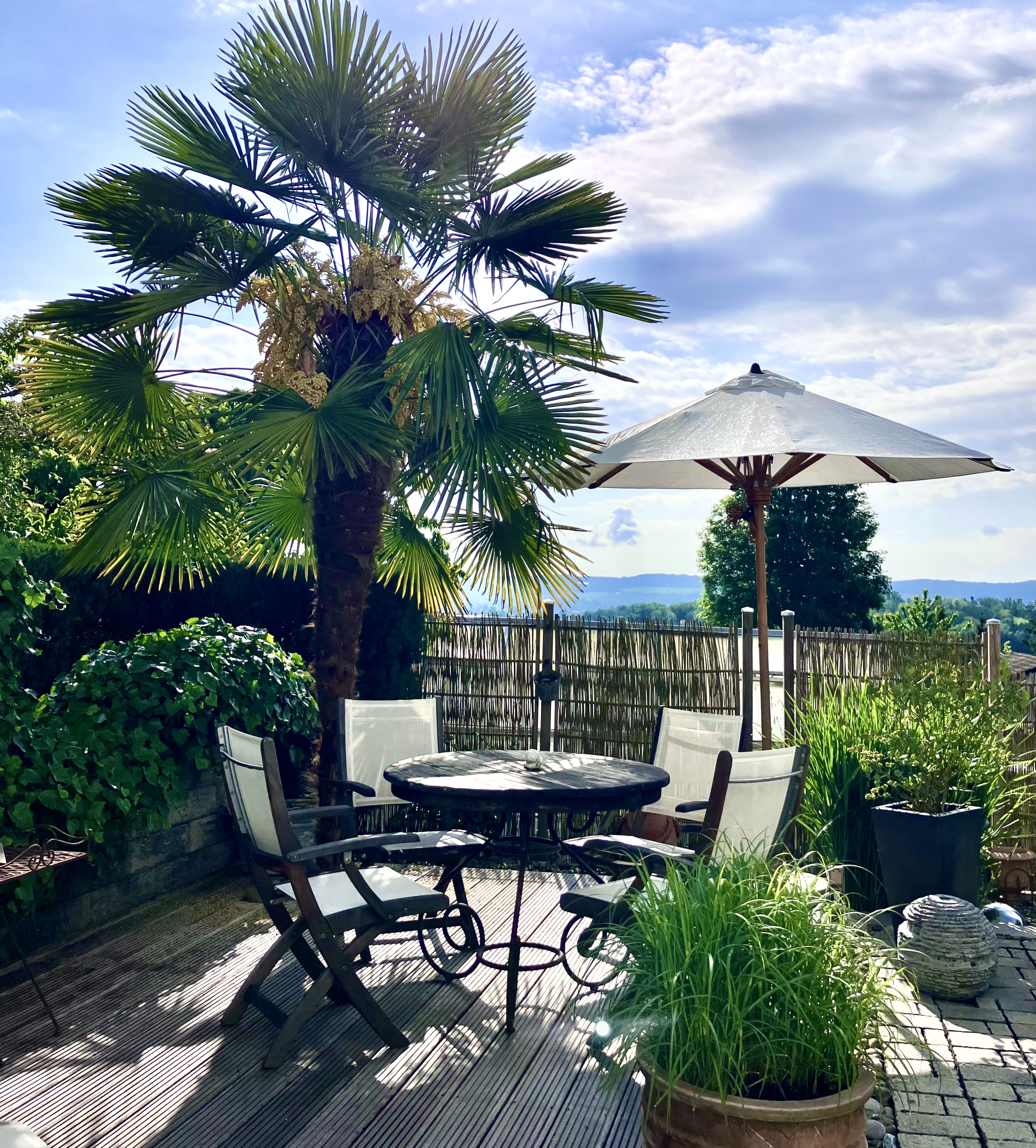 Coming Soon - Ruheoase in Berg: Modernisierte 2,5-Zimmer-Wohnung mit sehr großer Terrasse, Garten, Garage und weitem Blick ins Grüne nahe dem Bodensee.
