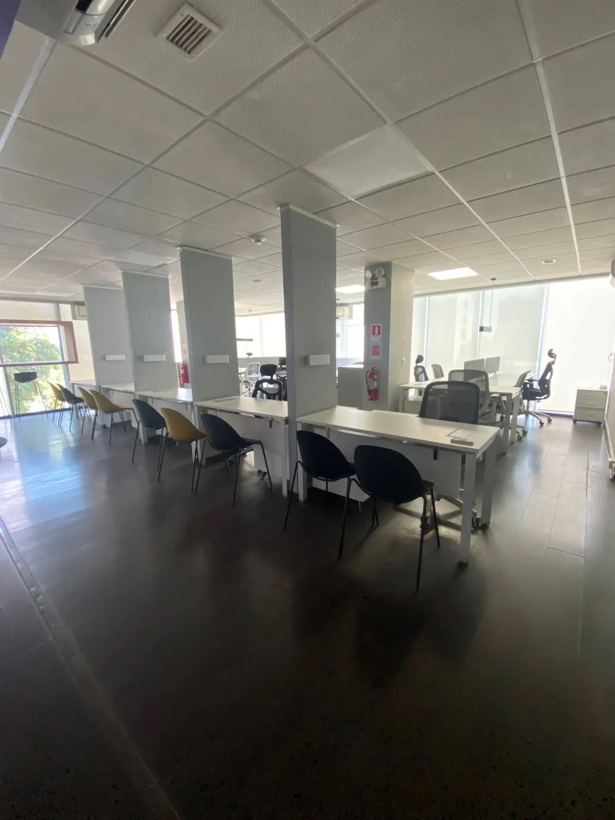 Bright office space with white desks, black chairs, and gray dividers under a white ceiling.