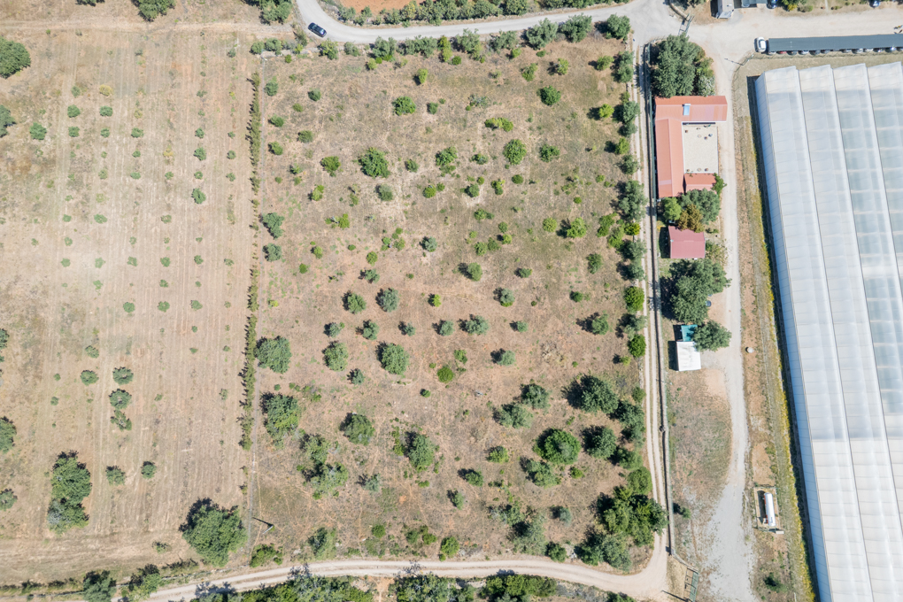 Terreno Rústico com Potencial Agrícola