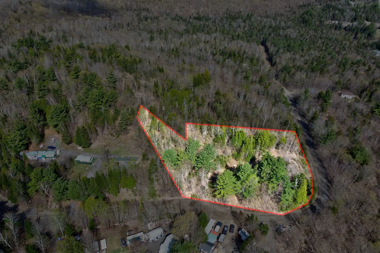 Aerial view of a wooded lot outlined in red, surrounded by trees and some houses.