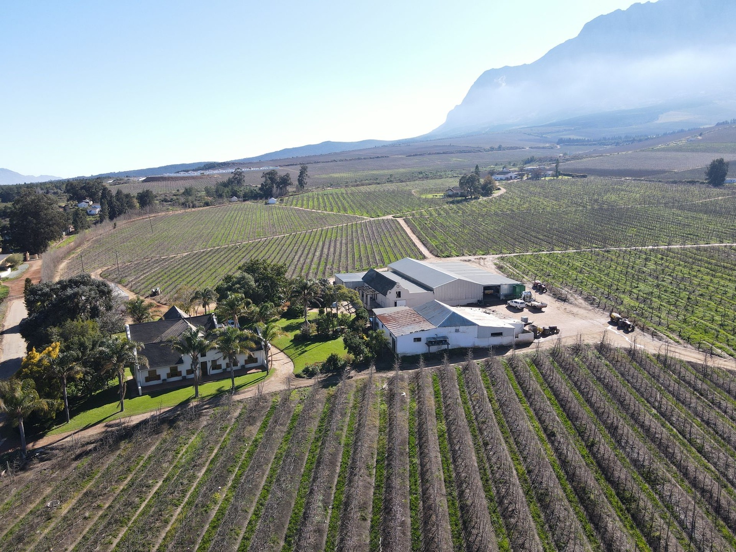 Export Fruit Farm with Packing Facility