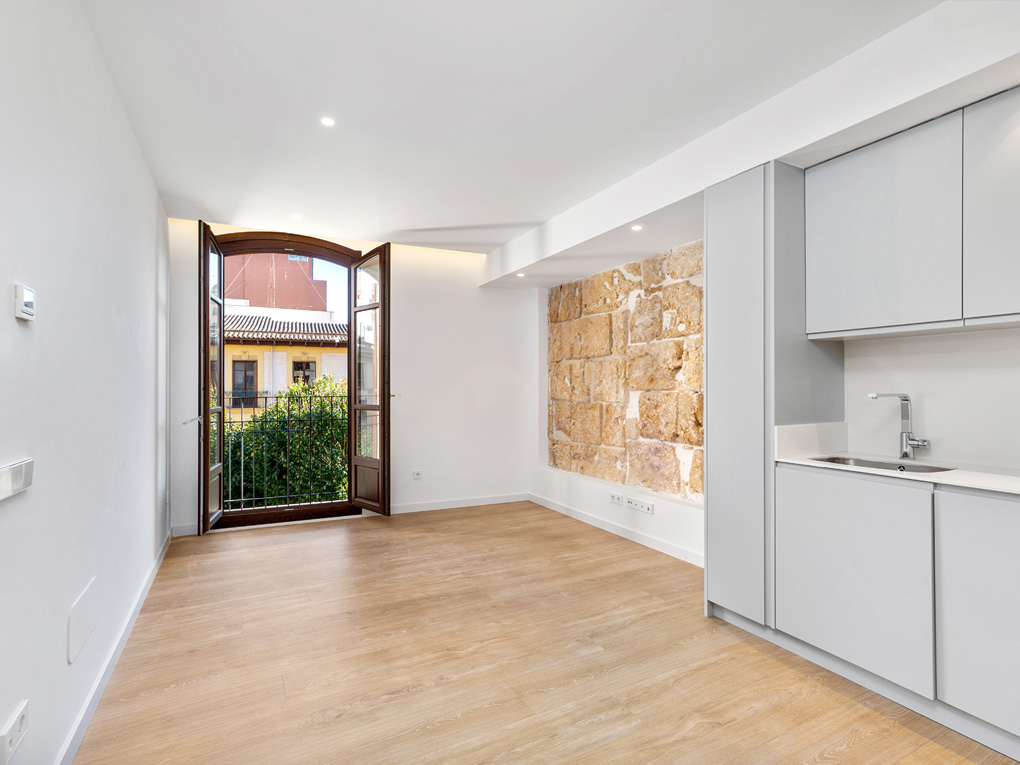 Modern renovated apartment with elevator in Sindicato