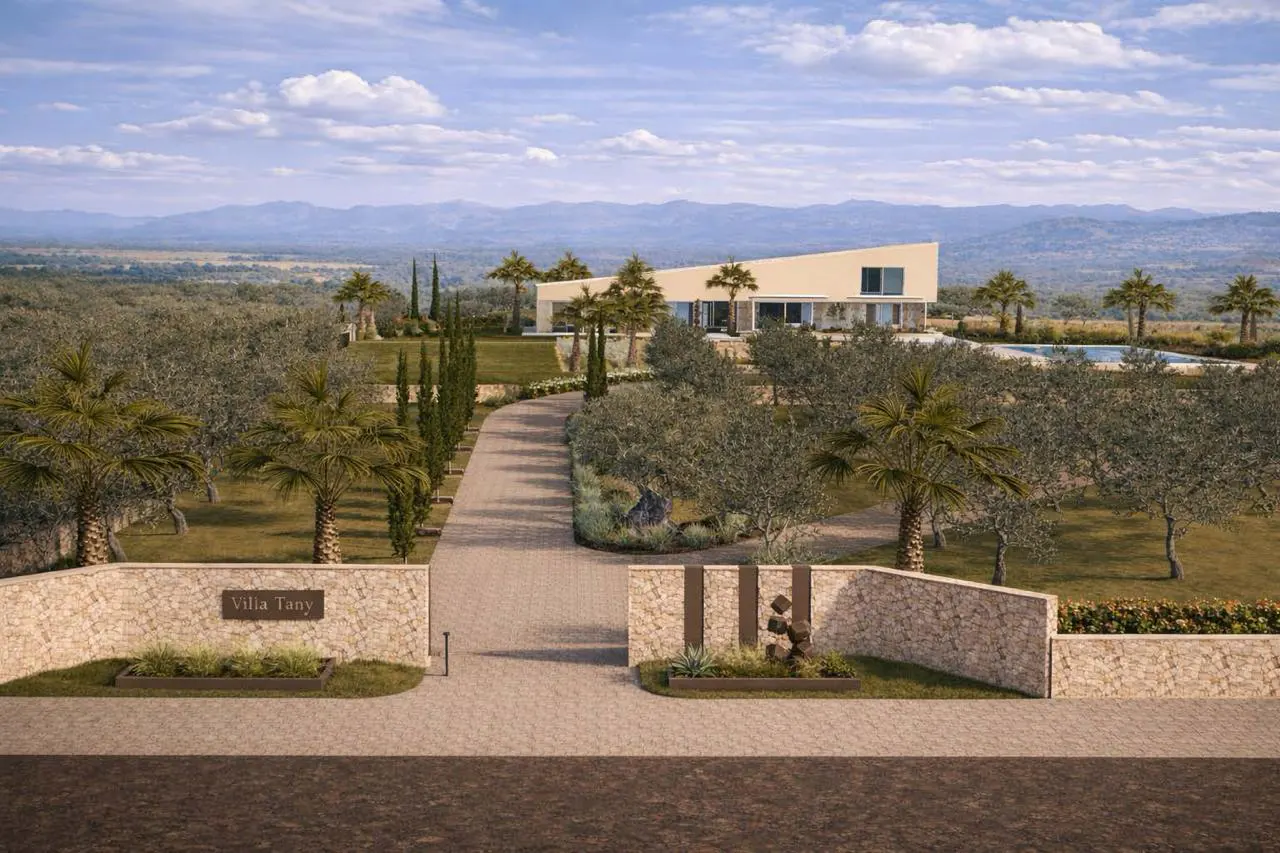 A modern villa with a slanted roof sits at the end of a long stone driveway, surrounded by olive trees and palm trees.