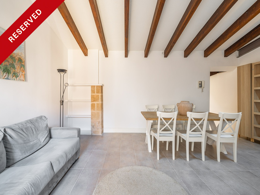 Modern apartment in historical palace