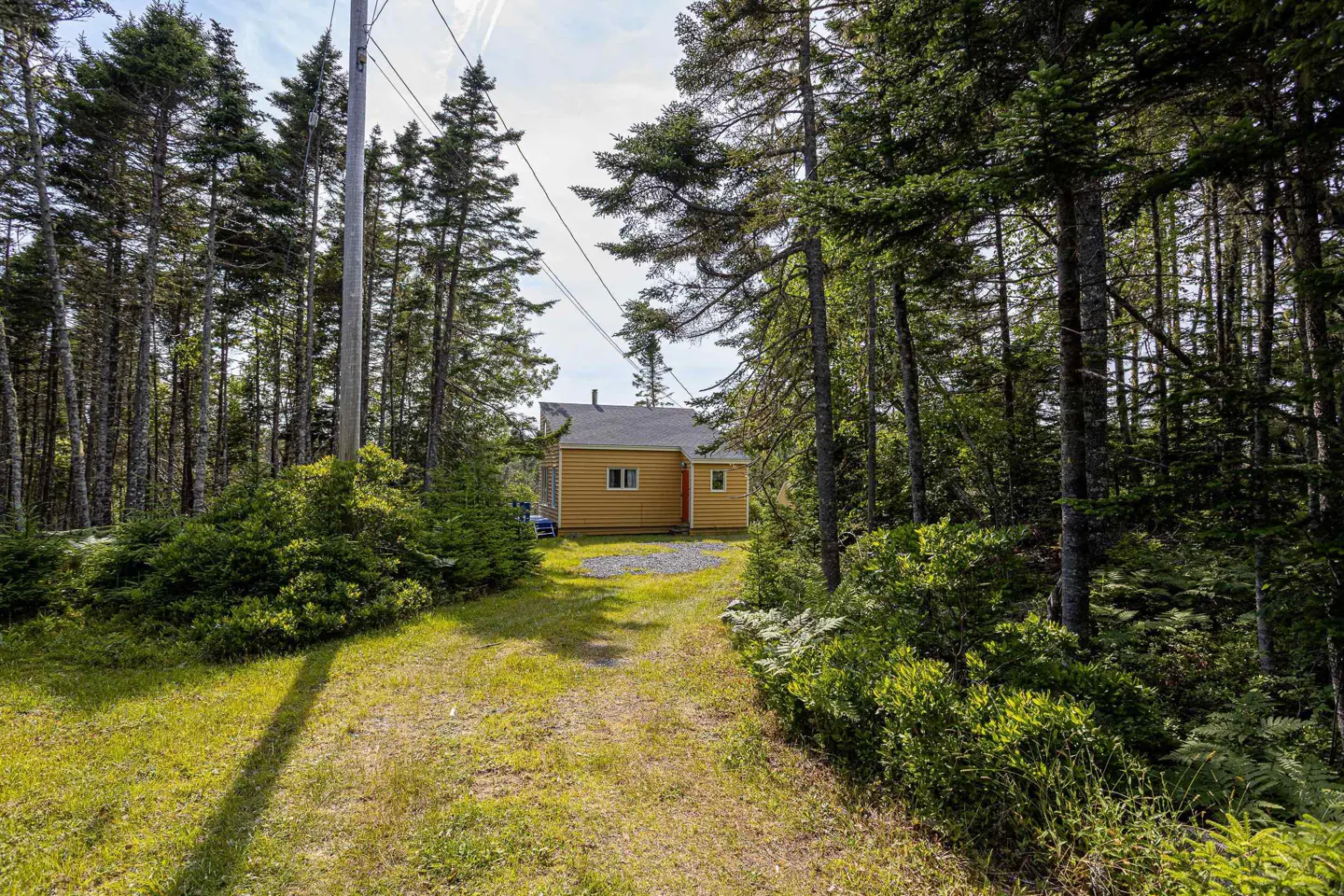 A yellow house with a red door is nestled in a forest, viewed from a grassy path.