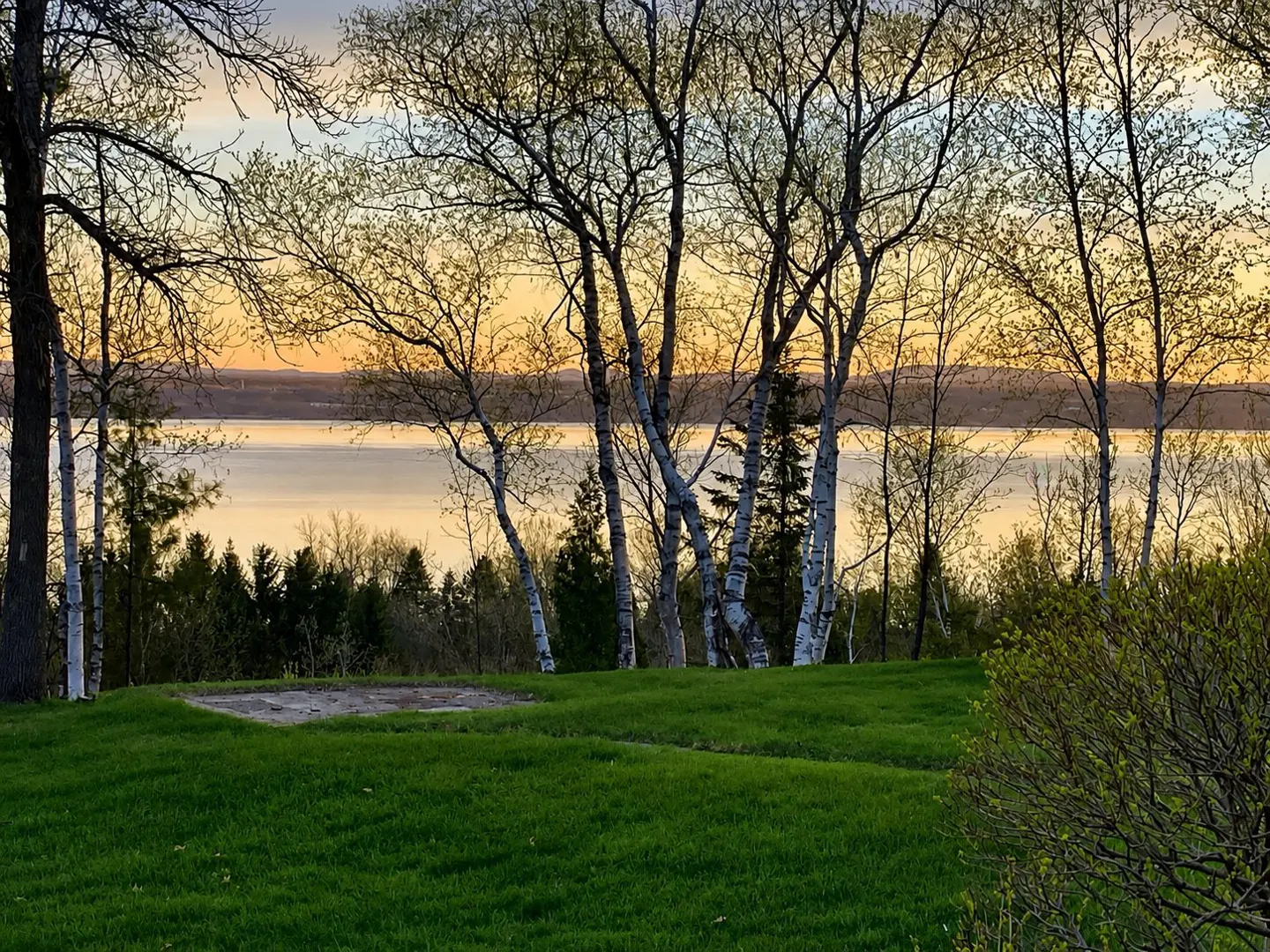 Lawn view of a lake at sunset. Birch trees frame the water, with green grass in the foreground.