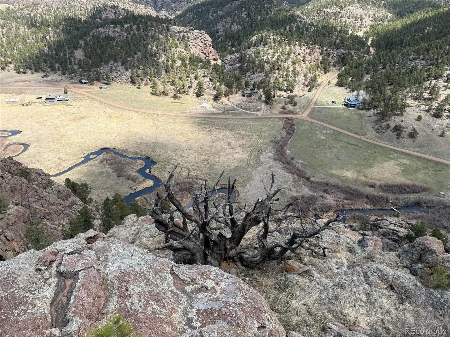 A high-angle view shows a valley with a winding river, houses, and a dead tree in the foreground.