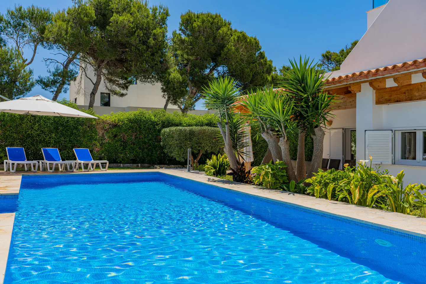 A bright blue swimming pool next to a white house with a patio, lounge chairs, and lush green trees under a clear sky.