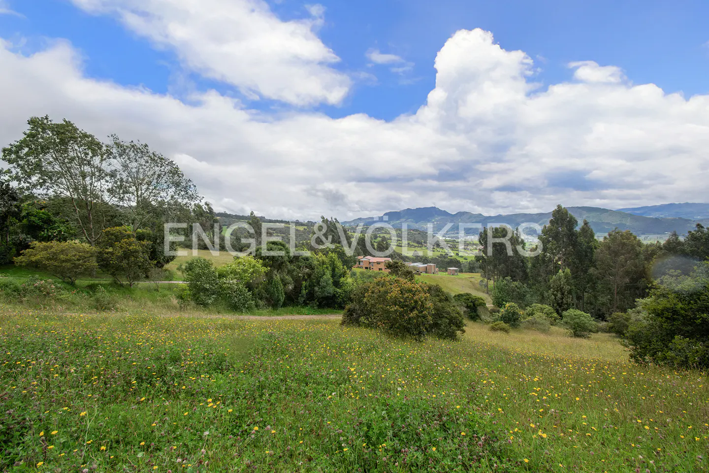 Landscape view of a green field with yellow flowers, trees, and a house in the distance under a blue sky with white clouds.