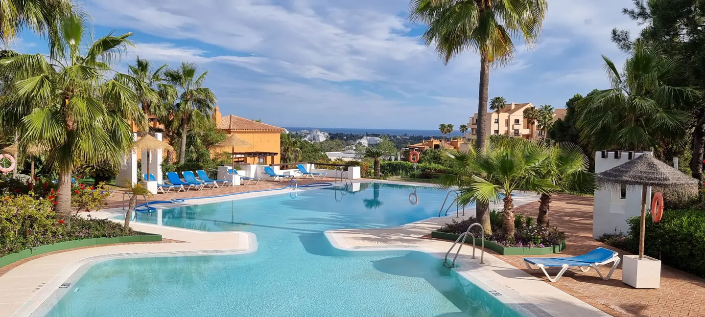 A bright, sunny view of a turquoise swimming pool surrounded by palm trees and lounge chairs. Buildings and the ocean are visible in the background.