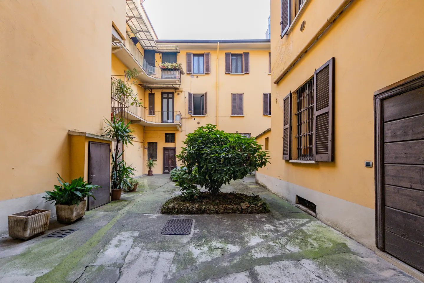 Courtyard view of a yellow apartment building with brown shutters and doors. A small tree sits in the center of the courtyard.