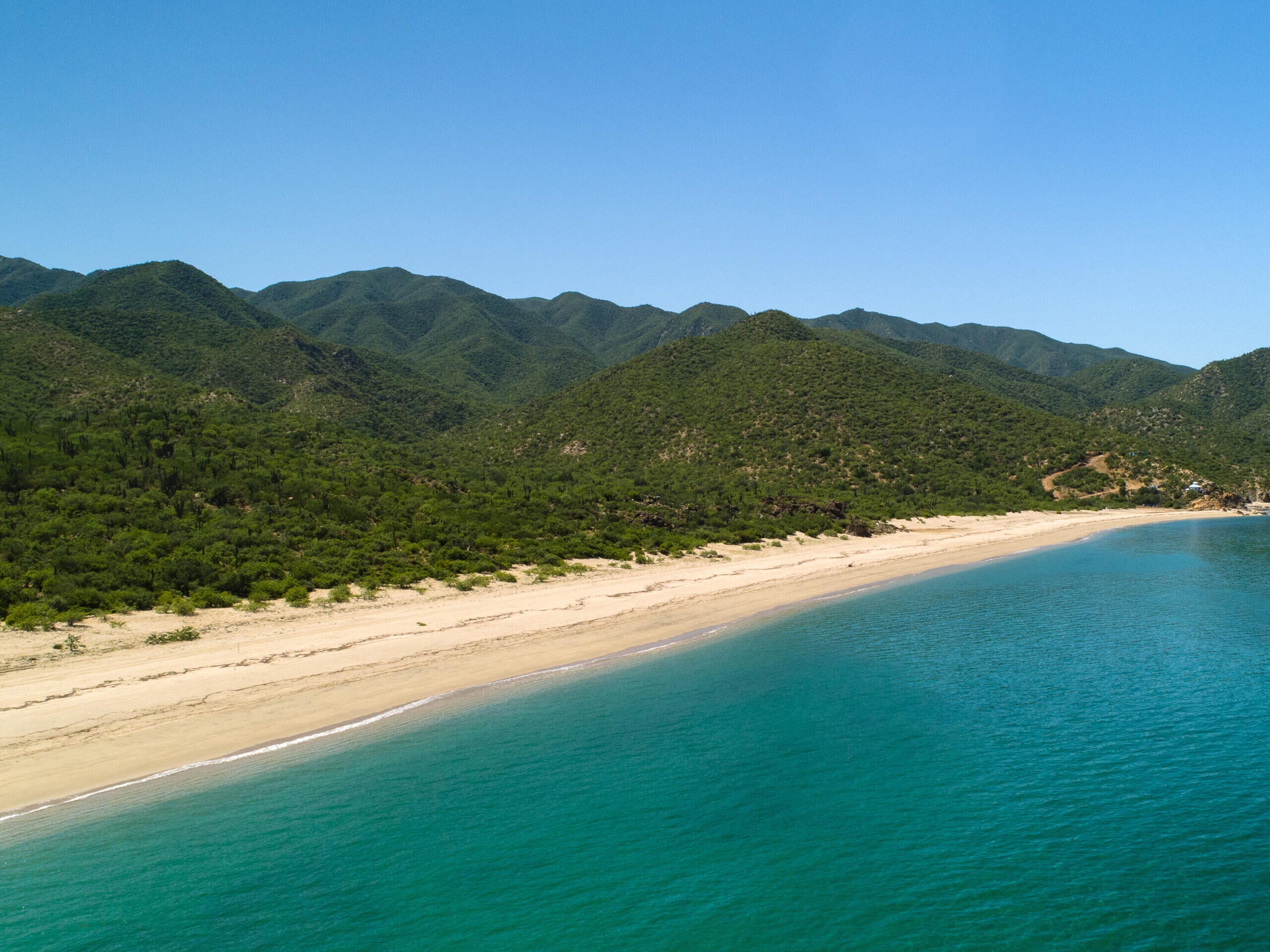 77-Hectare Beachfront Development Parcel!
