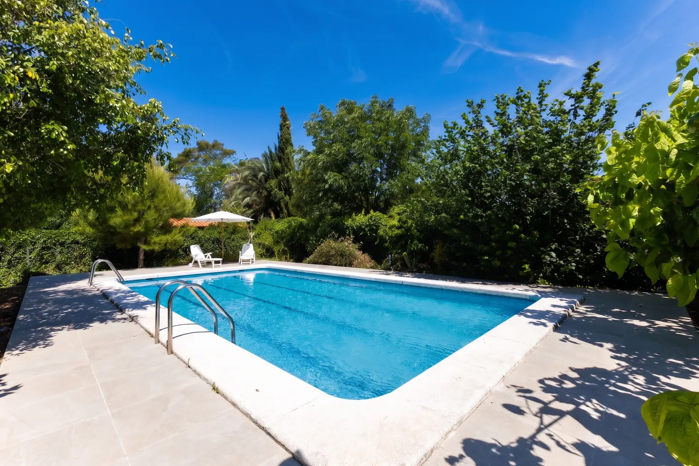 A rectangular swimming pool with blue water, surrounded by a concrete patio and lush green trees under a bright blue sky.