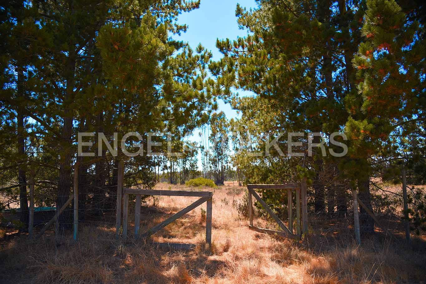 Venta Tunquen. Plana y pozo