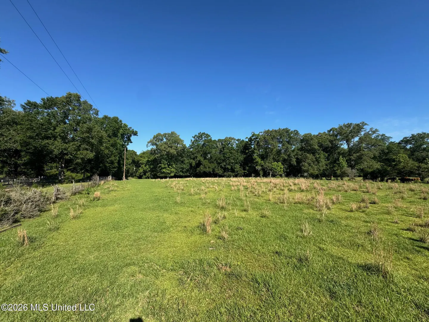 A grassy field under a clear blue sky, bordered by trees. A wooden fence runs along the left side.