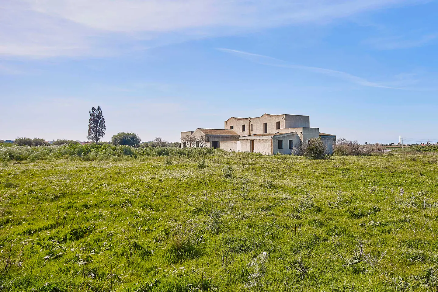 Overgrown field with a white, derelict building under a blue sky.