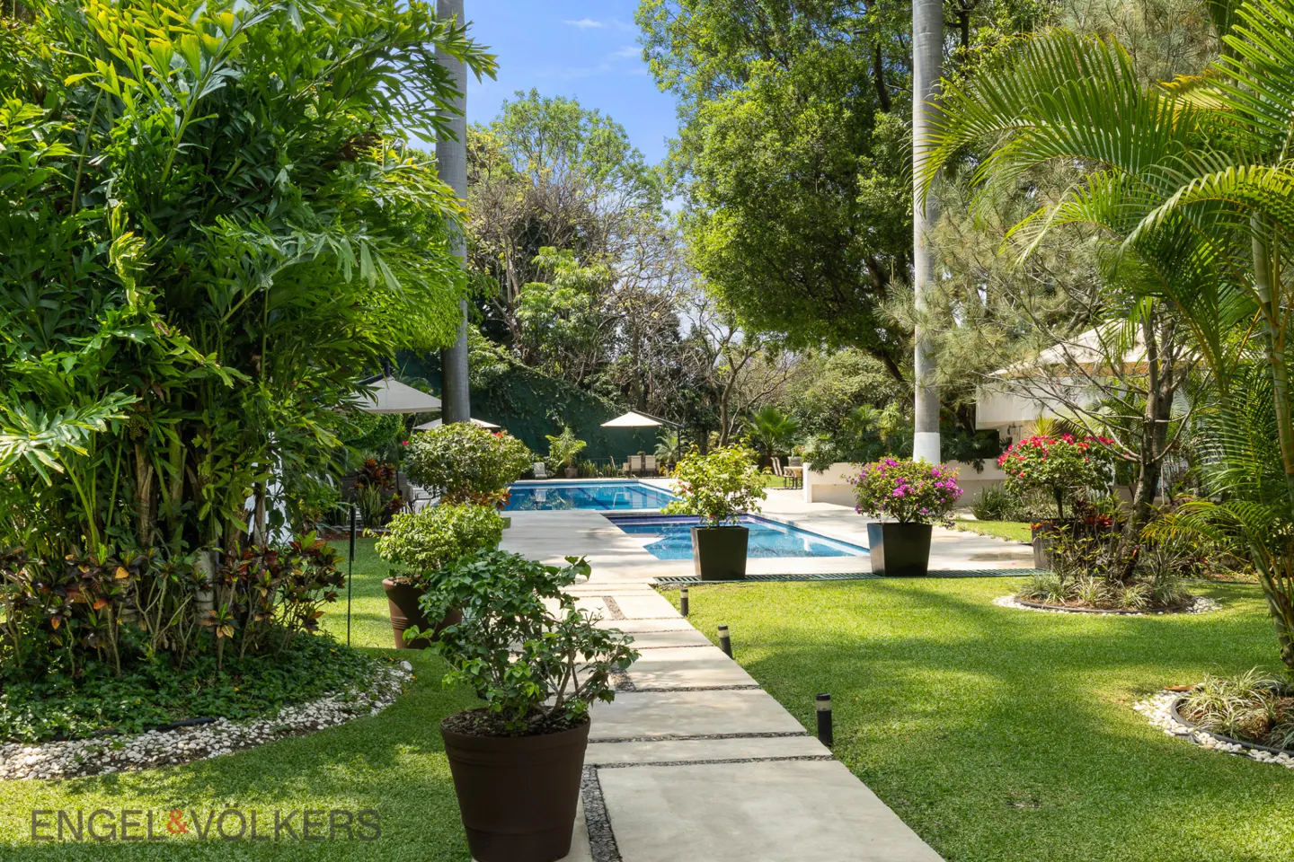 A lush backyard with a stone path leading to a blue swimming pool, surrounded by green grass, trees, and potted plants.