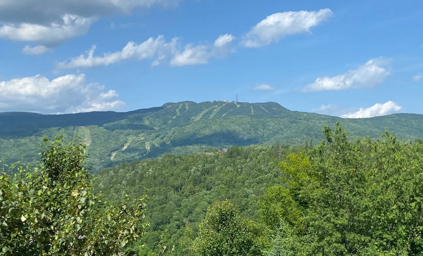 Scenic view of a green mountain with ski trails under a blue sky with white clouds.