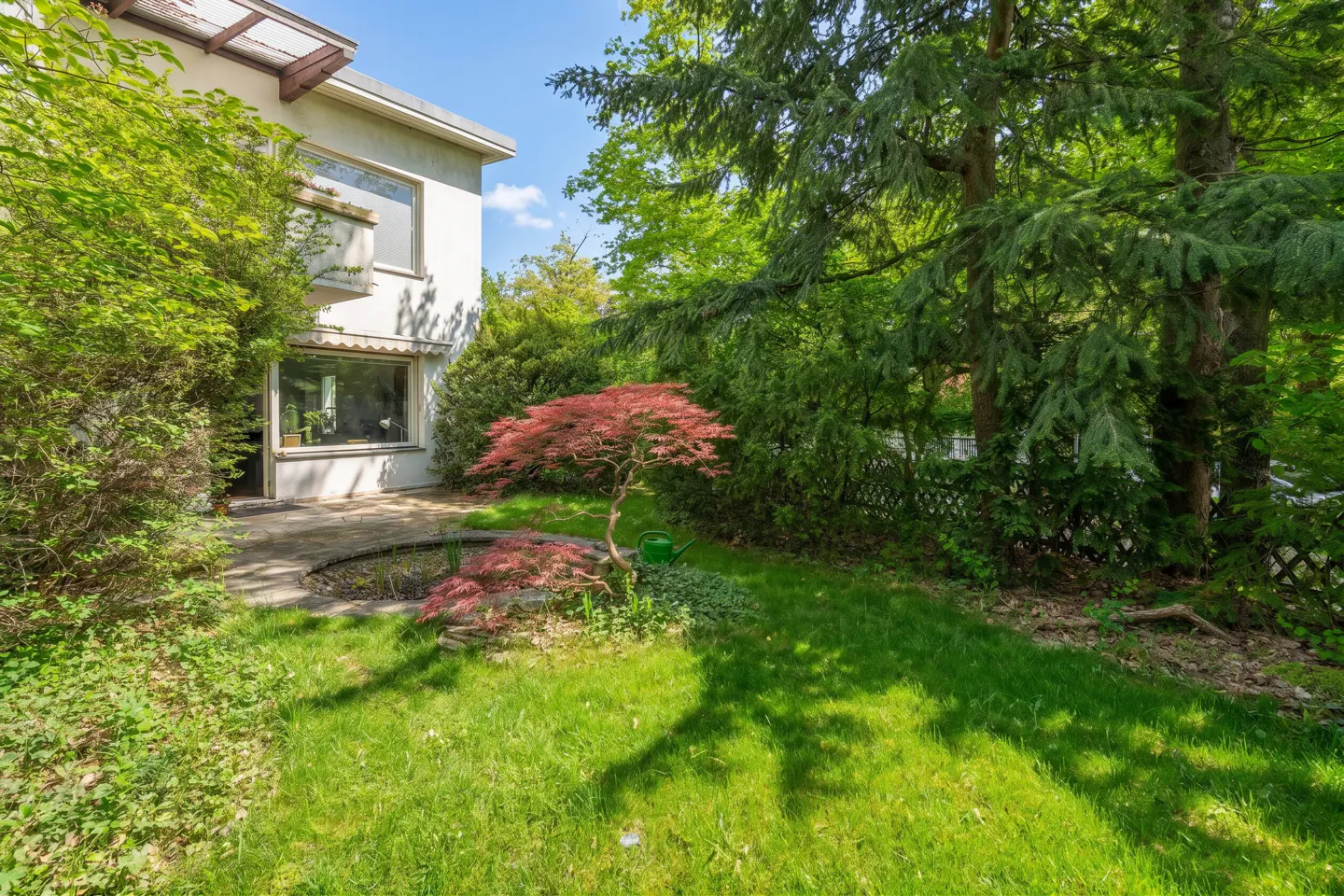 A white house with a green lawn, trees, and a red Japanese maple tree.