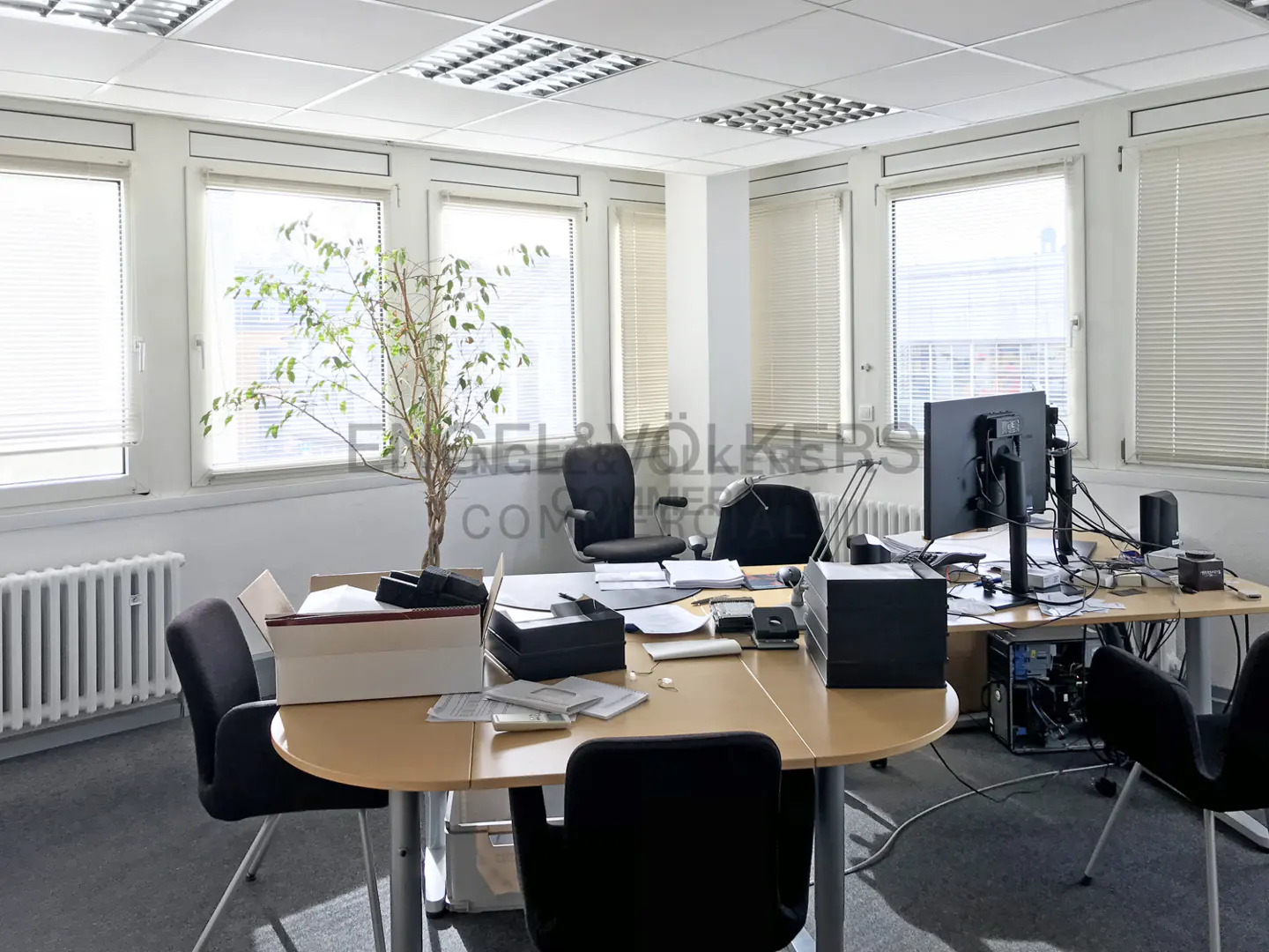 Bright office space with desks, chairs, computers, and a plant near the window. The room has white walls and blinds.