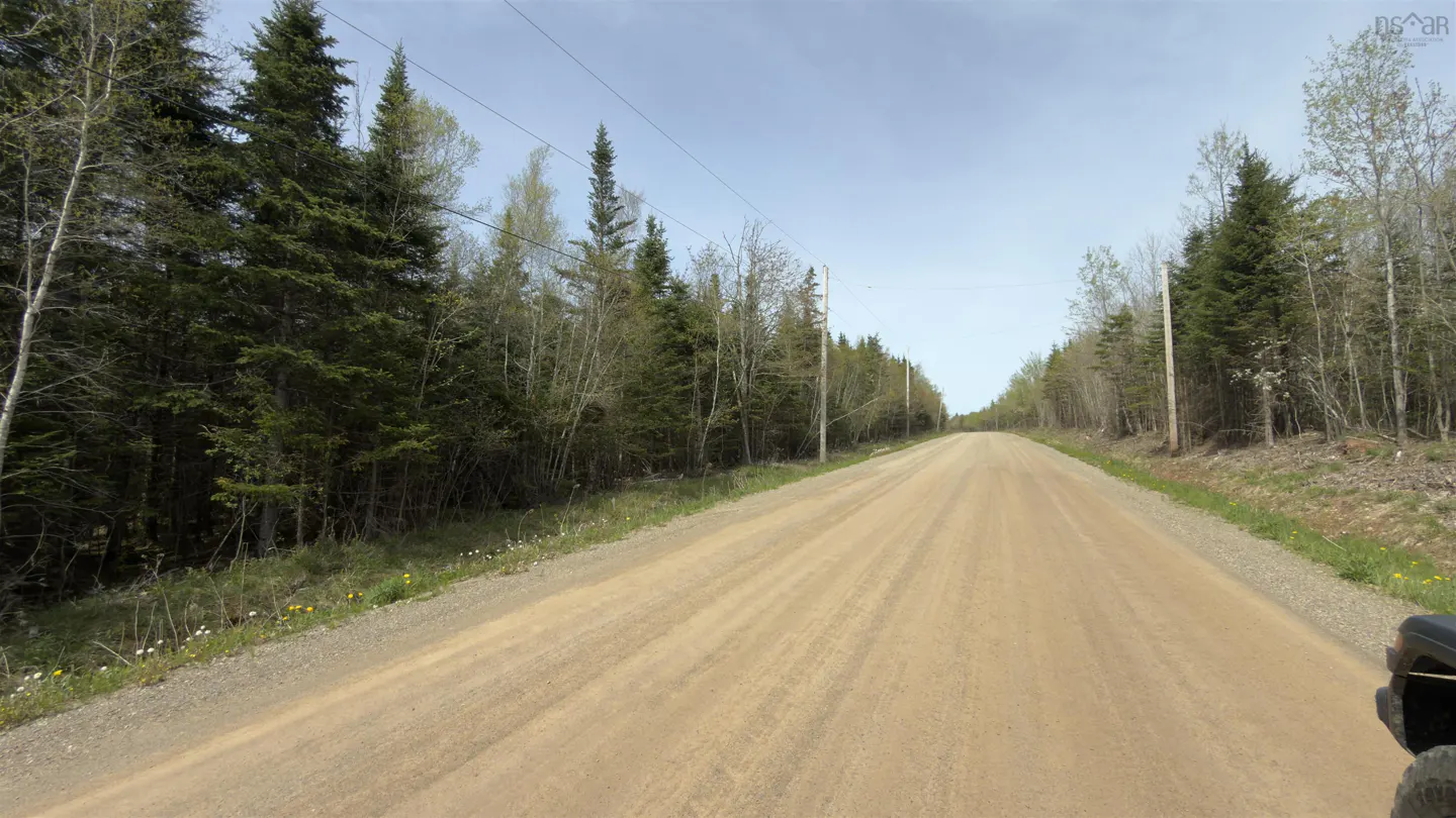 A long, tan dirt road stretches into the distance, lined with green trees under a blue sky. Power lines run above.