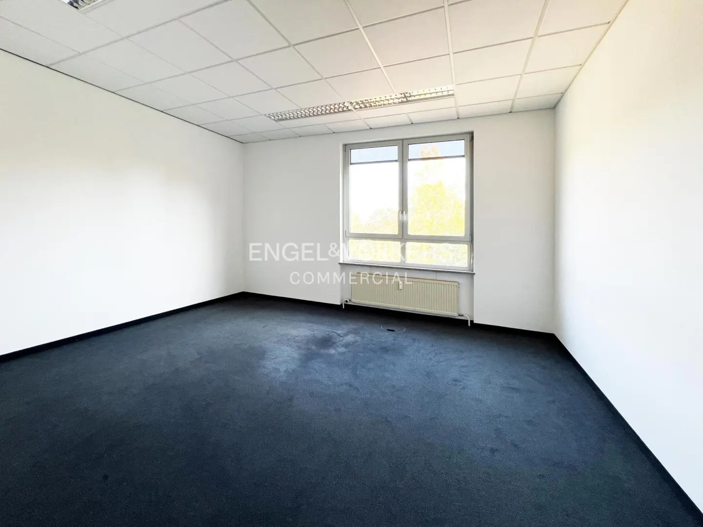 Empty office room with white walls, dark grey carpet, a drop ceiling, and a window with a radiator underneath.