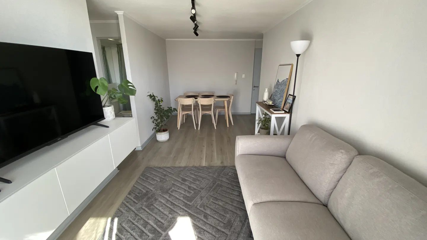 Living room with a gray sofa, TV, dining table with four chairs, and a gray rug on a light wood floor.