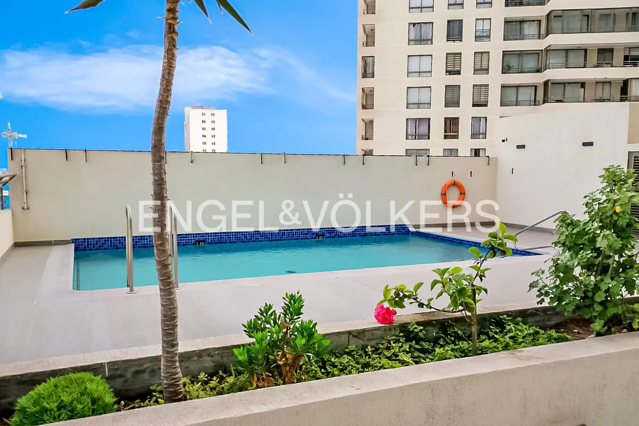 Rooftop swimming pool with blue tiles, surrounded by a concrete deck, a palm tree, and a tall apartment building background.