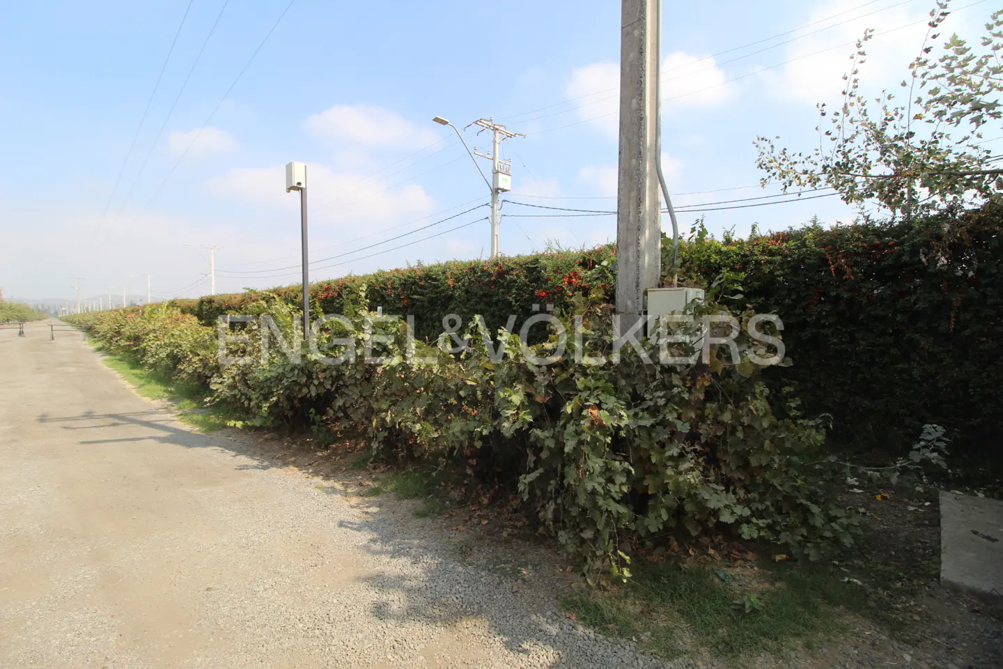 Gravel path with green bushes and red berries, utility poles, and blue sky. Engel & Volkers logo is superimposed on the bushes.