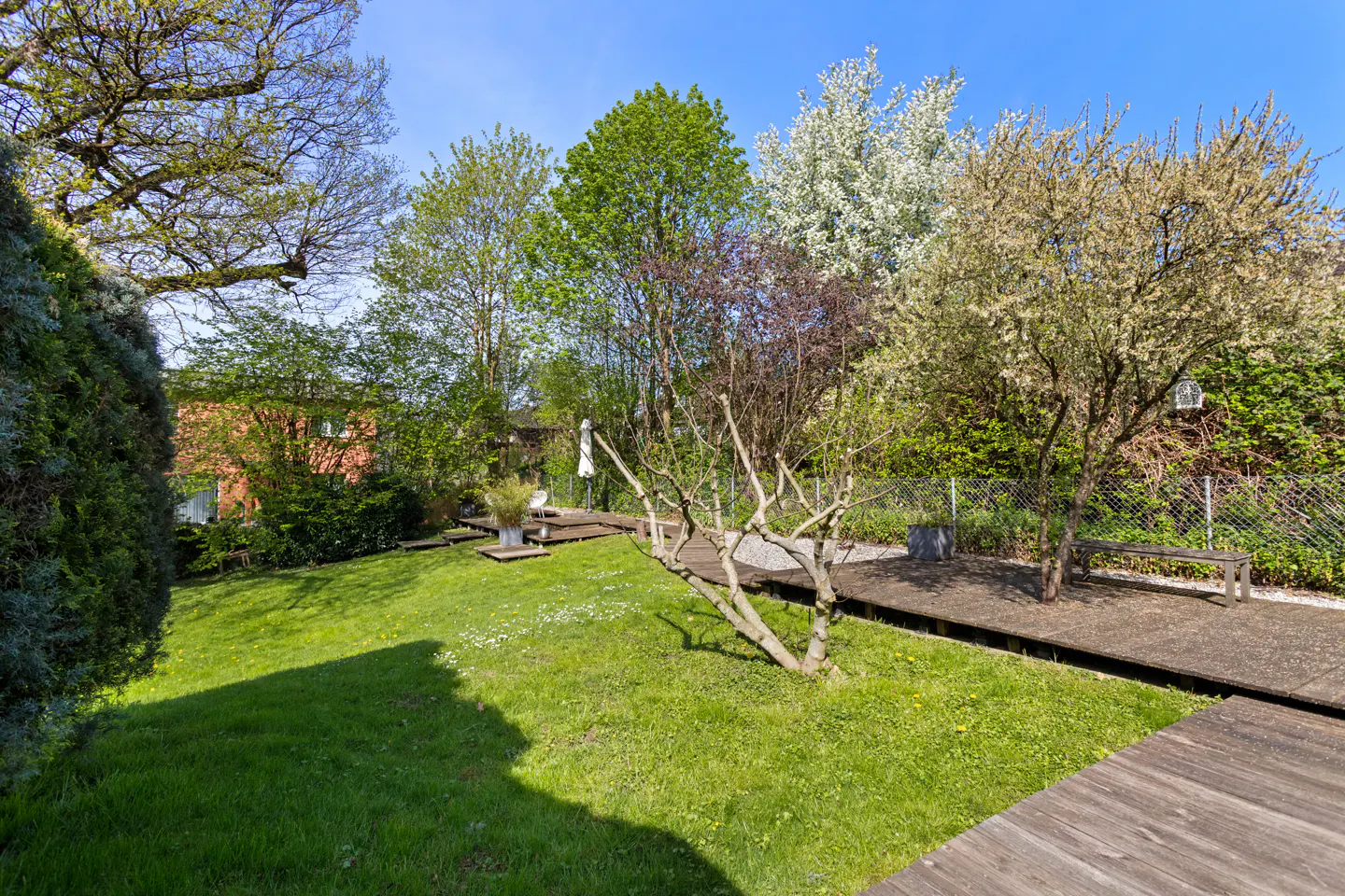 Lush green backyard with a wooden walkway, trees, and a bench under a clear blue sky.