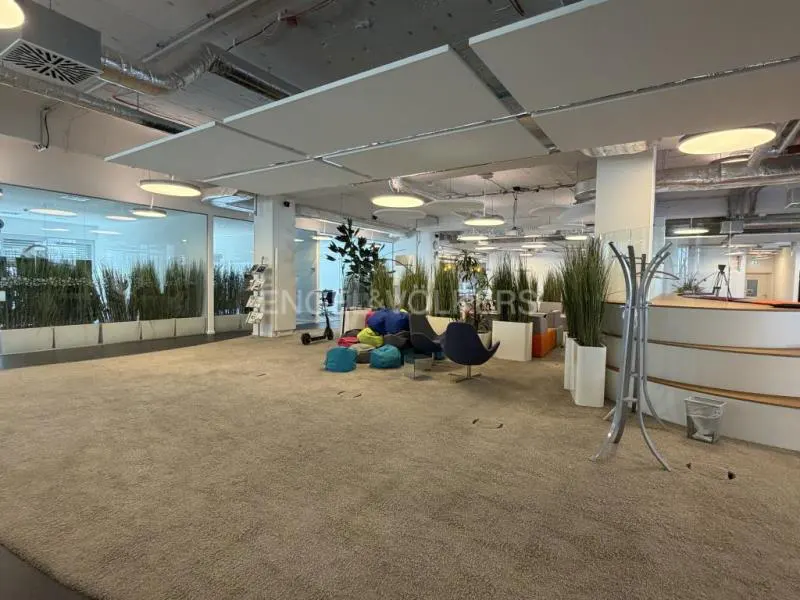 Open office space with a beige carpet, white ceiling panels, and seating areas with beanbags and chairs. Tall plants in white planters add greenery.