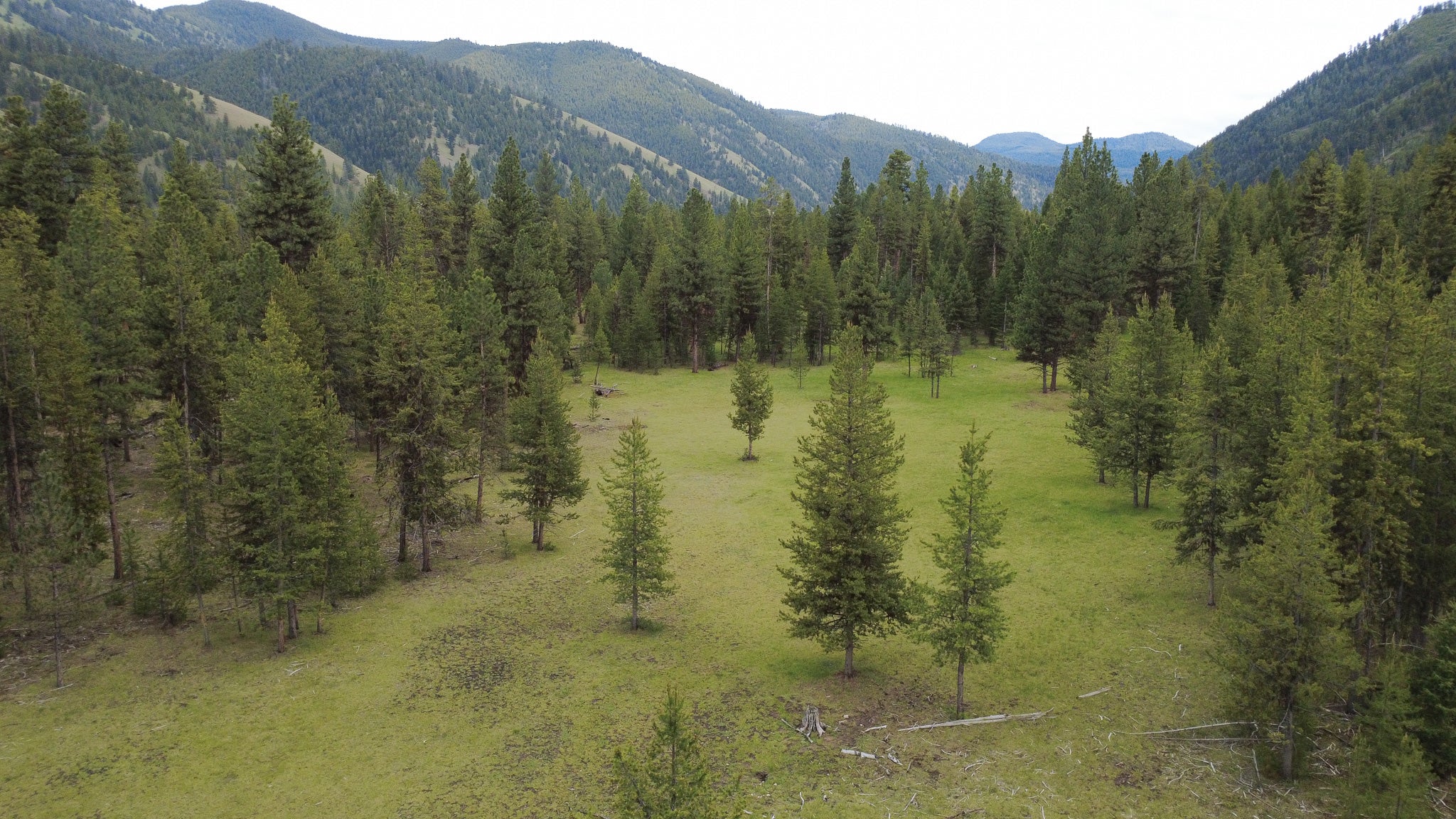 10 Acres Bordering Forest Service Land