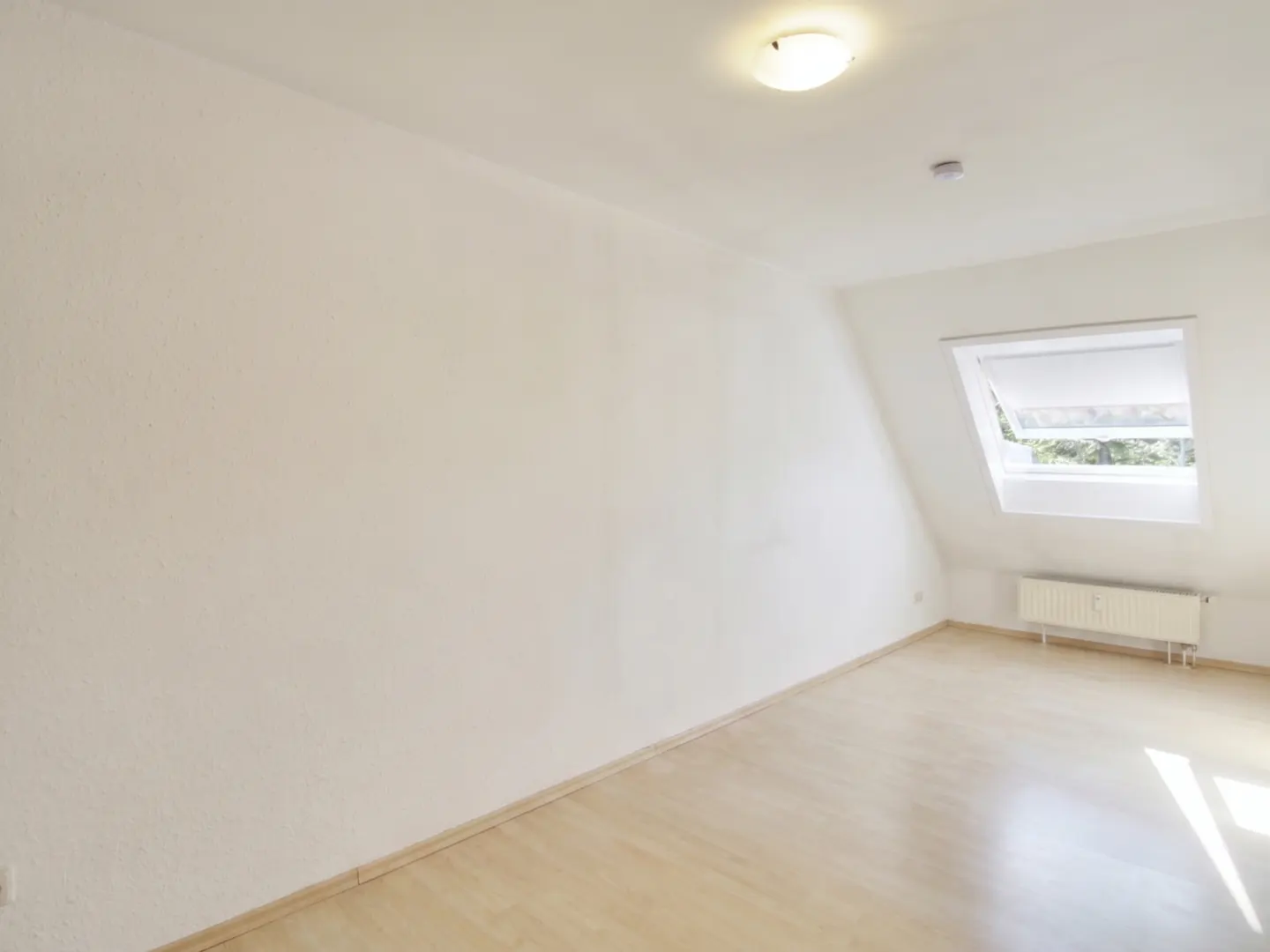 Bright, empty attic room with white walls, wood floor, skylight, and radiator.
