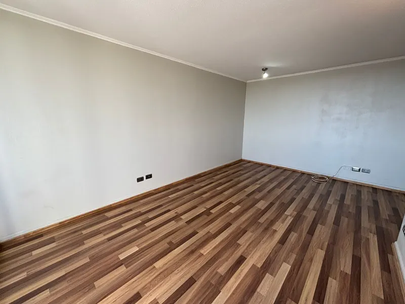 Empty room with wood-look flooring, light gray walls, white trim, and a single ceiling light.