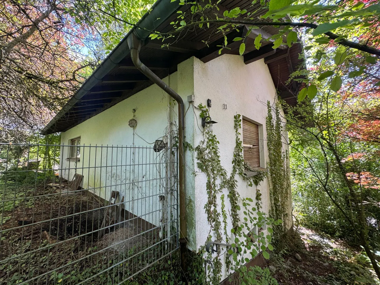 Exterior view of a small, white, one-story house with a dark roof, surrounded by lush greenery and a metal fence. Vines climb the walls.
